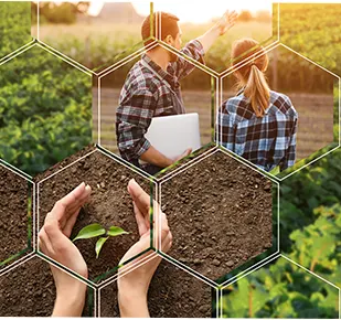 Reorienting agricultural policies Reorienting agricultural policies